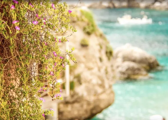 Casa vacanze Magic House On The Capri